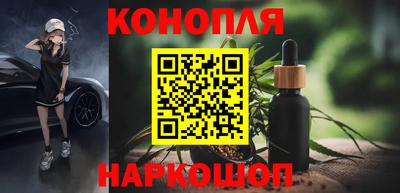 индика Будённовск