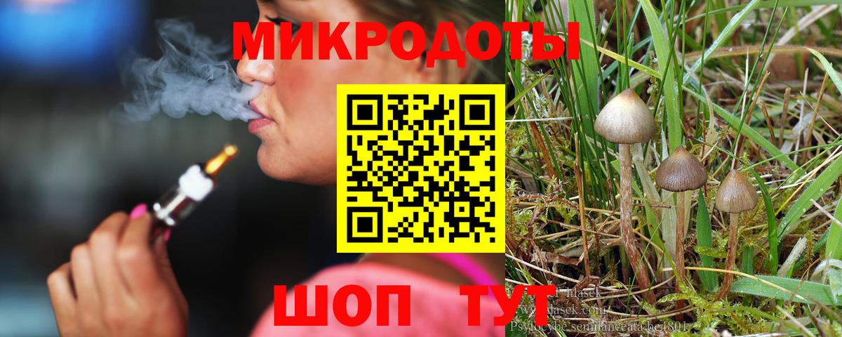 Галлюциногенные грибы мицелий Прохладный