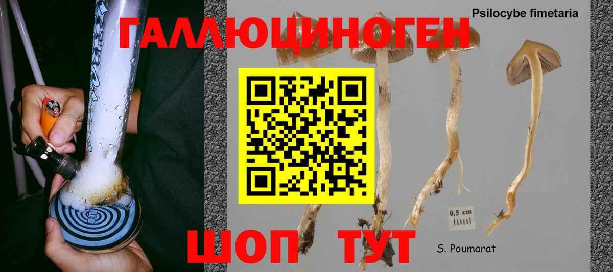 Галлюциногенные грибы прущие грибы  Вход с VPN  Галлюциногенные грибы Cubensis  Прохладный 