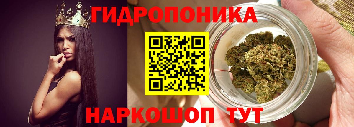 Бошки марихуана марихуана  Шишки марихуана гибрид  Вход с VPN  Прохладный  Шишки марихуана тримм  Конопля ГИДРОПОН 